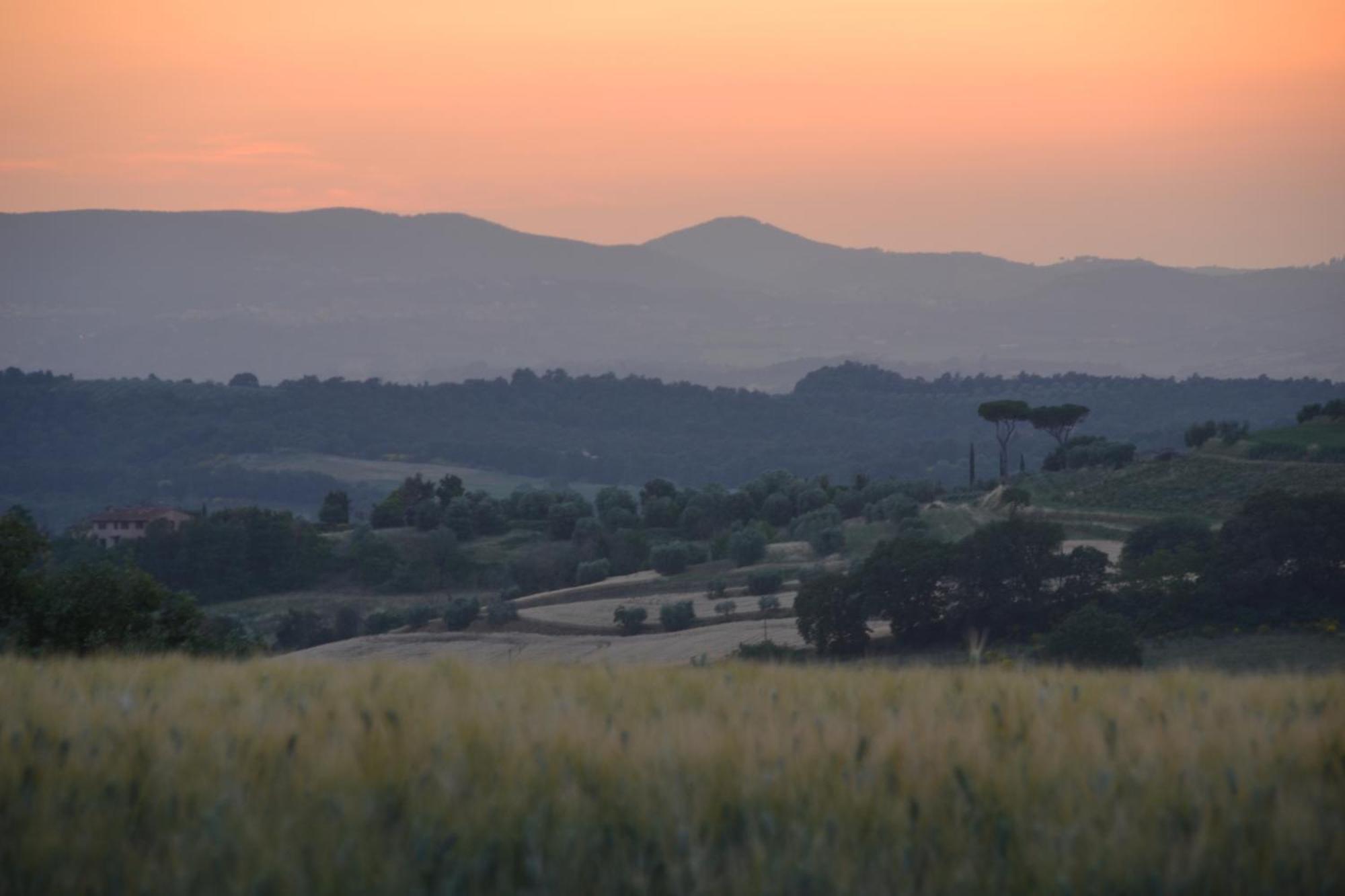 Agriturismo La Casetta Del Sole Villastrada Kültér fotó